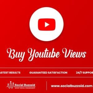 Buy YouTube Views