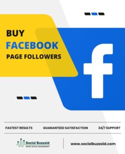 Mastering the Art of Facebook Page Followers: SocialBuzzoid.com