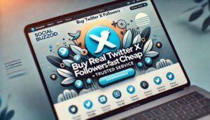 Best Site to Buy Twitter X Followers Fast & Cheap | SocialBuzzoid.com