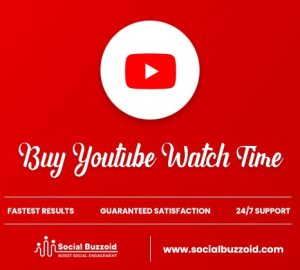 Buy 4000 YouTube Watch Hours Online in India | Buy YouTube Watch Hours India