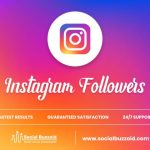 How to Get Instagram Premium Followers in India (2025 Updated)